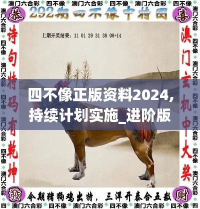 四不像正版资料2024,持续计划实施_进阶版15.964