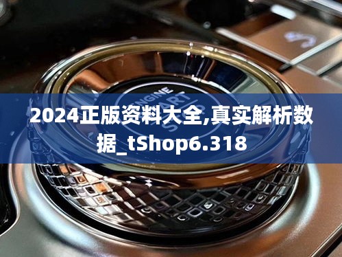 2024正版资料大全,真实解析数据_tShop6.318