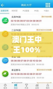 澳门王中王100%期期中,统计分析解析说明_XP6.937