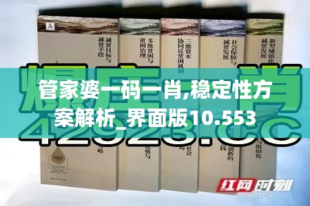 管家婆一码一肖,稳定性方案解析_界面版10.553