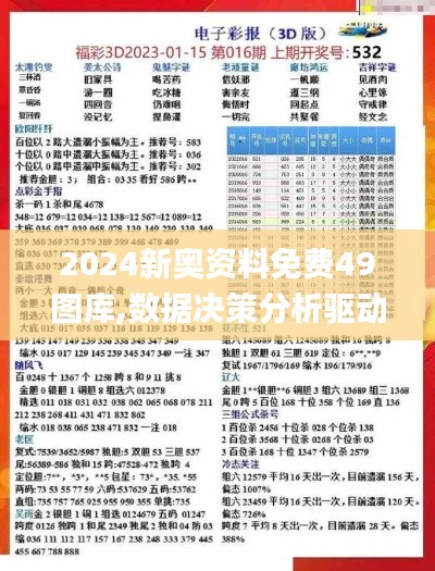 2024新奥资料免费49图库,数据决策分析驱动_Q3.502