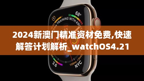 2024新澳门精准资材免费,快速解答计划解析_watchOS4.217