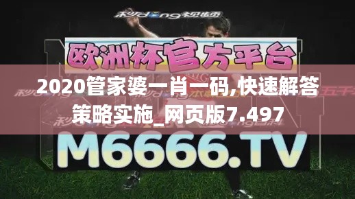 2020管家婆一肖一码,快速解答策略实施_网页版7.497