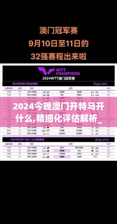 2024今晚澳门开特马开什么,精细化评估解析_模拟版6.452