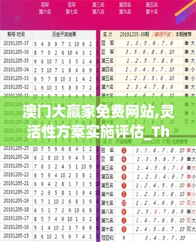 澳门大赢家免费网站,灵活性方案实施评估_The9.496