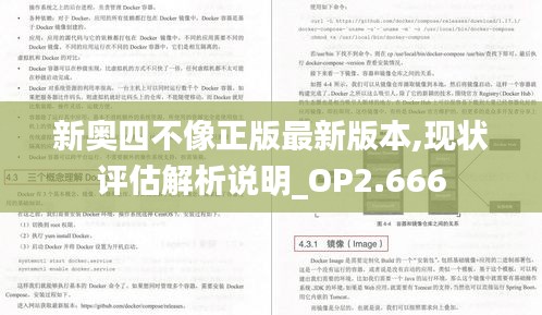 新奥四不像正版最新版本,现状评估解析说明_OP2.666