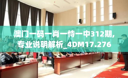 澳门一码一肖一恃一中312期,专业说明解析_4DM17.276