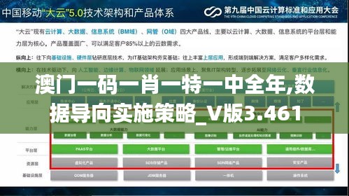 澳门一码一肖一特一中全年,数据导向实施策略_V版3.461