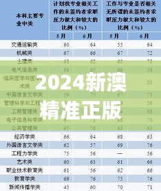 2024新澳精准正版资料109,经典解答解释定义_MP10.495