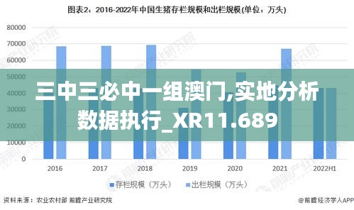 三中三必中一组澳门,实地分析数据执行_XR11.689