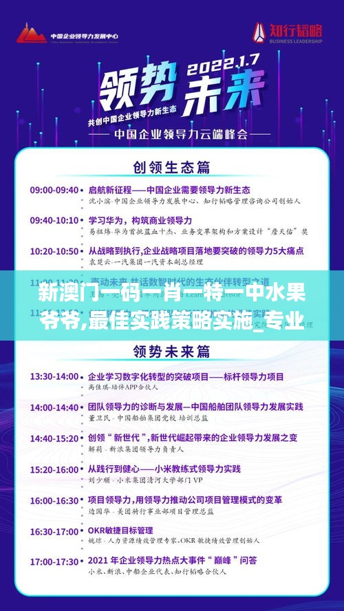 新澳门一码一肖一特一中水果爷爷,最佳实践策略实施_专业款16.756