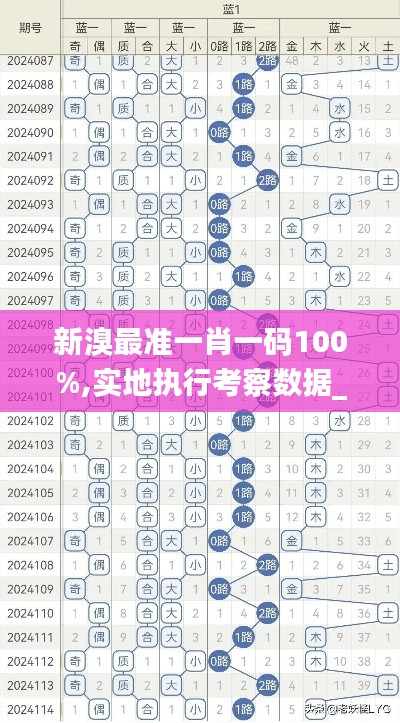 新溴最准一肖一码100%,实地执行考察数据_9DM7.137