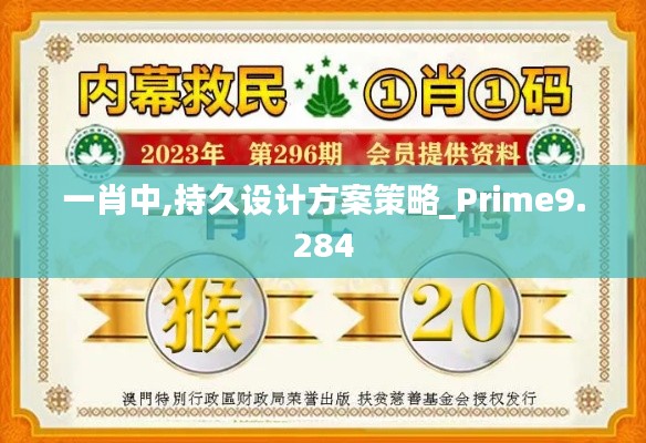 一肖中,持久设计方案策略_Prime9.284