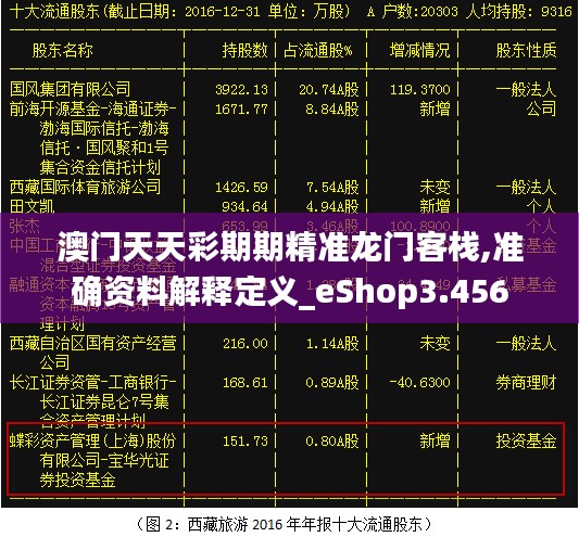 澳门天天彩期期精准龙门客栈,准确资料解释定义_eShop3.456