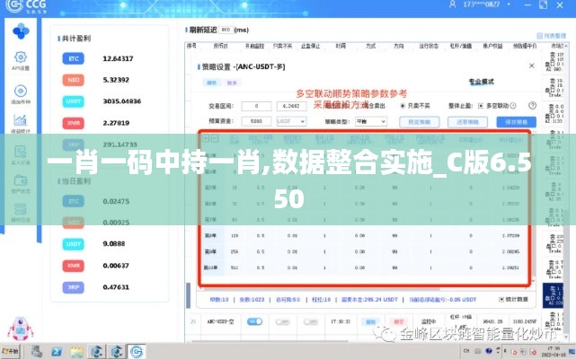 一肖一码中持一肖,数据整合实施_C版6.550