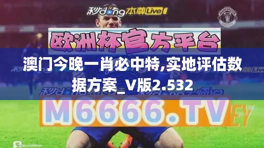 澳门今晚一肖必中特,实地评估数据方案_V版2.532