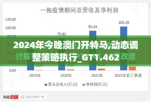 2024年今晚澳门开特马,动态调整策略执行_GT1.462