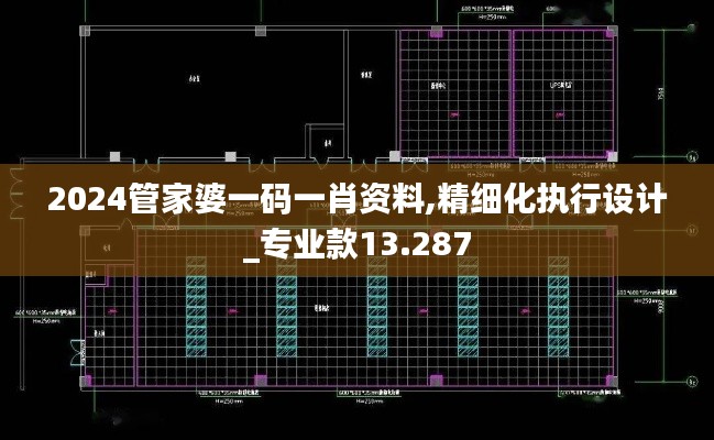 2024管家婆一码一肖资料,精细化执行设计_专业款13.287