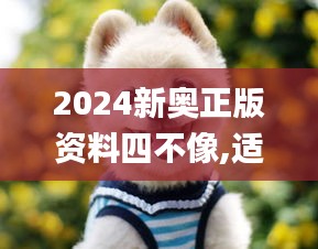 2024新奥正版资料四不像,适用解析方案_限量版4.512