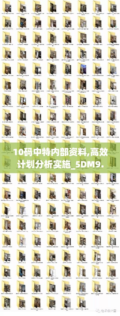 10码中特内部资料,高效计划分析实施_5DM9.751