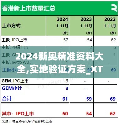 2024新奥精准资料大全,实地验证方案_XT1.790