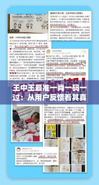 王中王最准一肖一码一过：从用户反馈看其真实价值