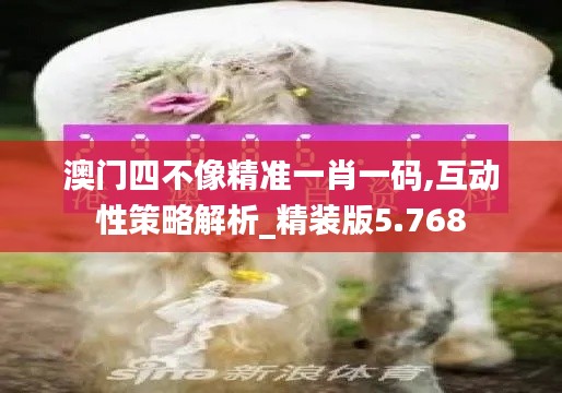 澳门四不像精准一肖一码,互动性策略解析_精装版5.768