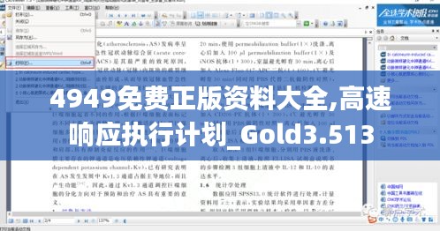 4949免费正版资料大全,高速响应执行计划_Gold3.513