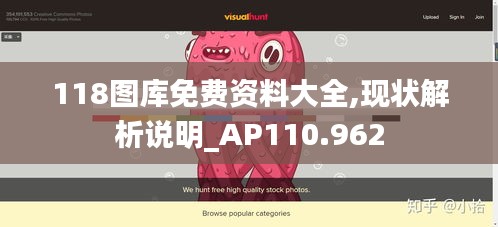 118图库免费资料大全,现状解析说明_AP110.962