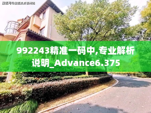 992243精准一码中,专业解析说明_Advance6.375