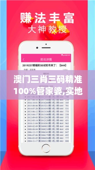 澳门三肖三码精准100%管家婆,实地数据分析计划_特供版19.631