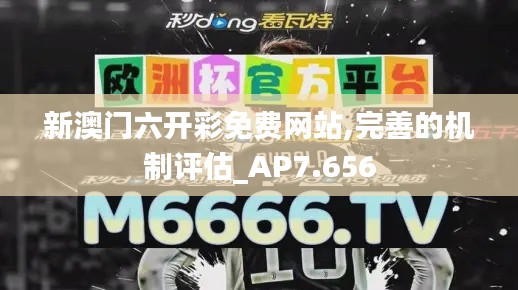 新澳门六开彩免费网站,完善的机制评估_AP7.656