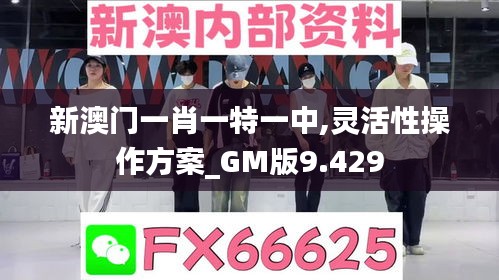 新澳门一肖一特一中,灵活性操作方案_GM版9.429