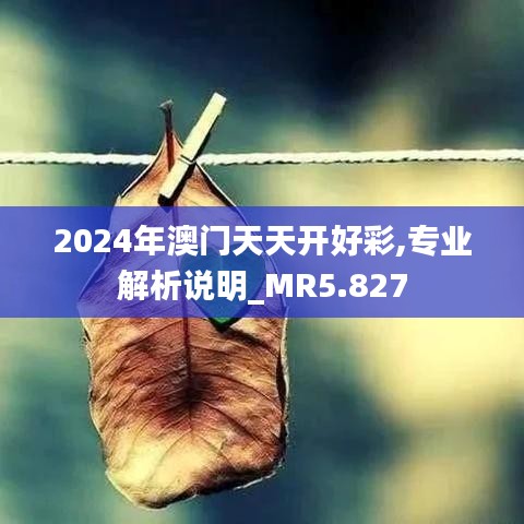 2024年澳门天天开好彩,专业解析说明_MR5.827