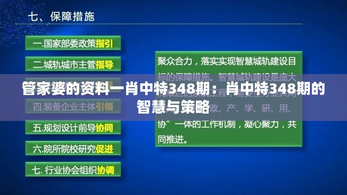 管家婆的资料一肖中特348期：肖中特348期的智慧与策略