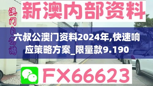 六叔公澳门资料2024年,快速响应策略方案_限量款9.190