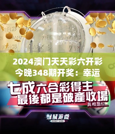 2024澳门天天彩六开彩今晚348期开奖：幸运号码的解密之夜