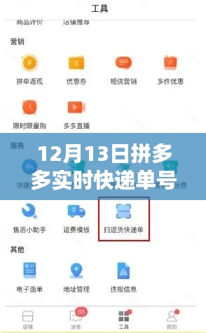 拼多多智能快递查询系统，实时追踪科技引领新生活