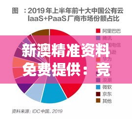 新澳精准资料免费提供：竞逐新澳市场的新优势