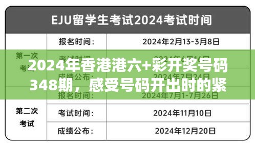 2024年香港港六+彩开奖号码348期，感受号码开出时的紧张与激动