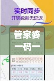 管家婆一码一肖资料免费公开,最佳精选解释落实_zShop8.491