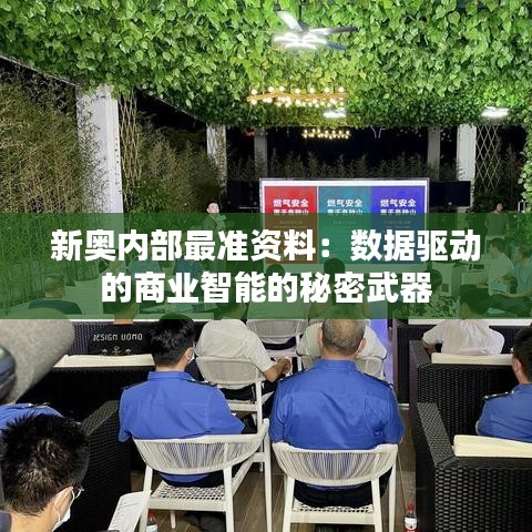 新奥内部最准资料：数据驱动的商业智能的秘密武器