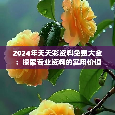 2024年天天彩资料免费大全：探索专业资料的实用价值