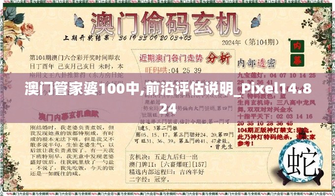 澳门管家婆100中,前沿评估说明_Pixel14.824