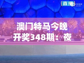 澳门特马今晚开奖348期：夜幕下的澳门特马348期，悬念即将揭晓