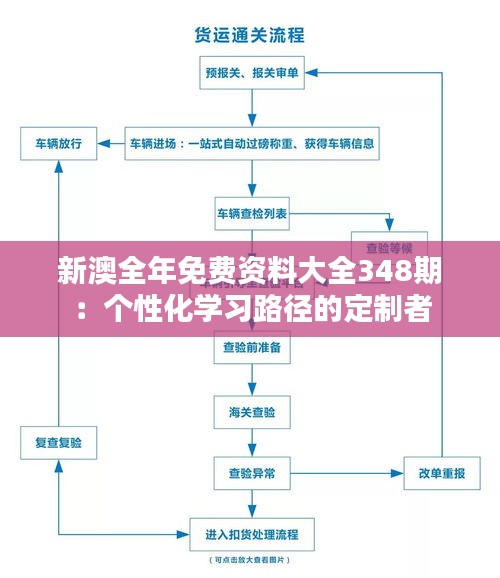 新澳全年免费资料大全348期：个性化学习路径的定制者