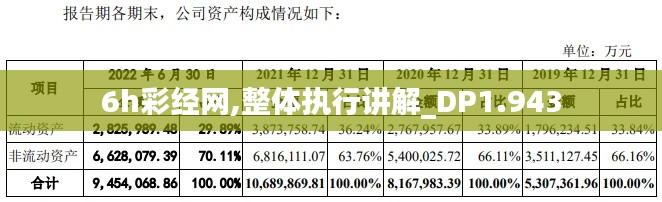 6h彩经网,整体执行讲解_DP1.943