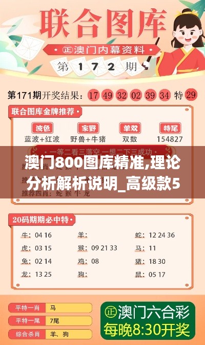 澳门800图库精准,理论分析解析说明_高级款5.308