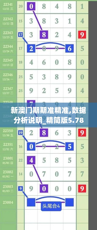 新澳门期期准精准,数据分析说明_精简版5.789