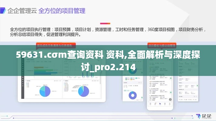 59631.cσm查询资科 资科,全面解析与深度探讨_pro2.214